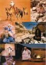 Katalog (3)